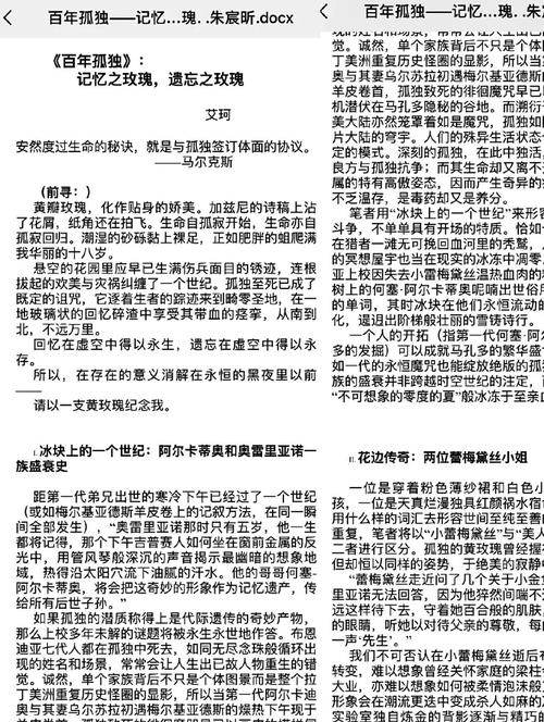 百年人生的缩影:通读《百年孤独》带来的人生思考与感悟 第1张 百年人生的缩影:通读《百年孤独》带来的人生思考与感悟 第1张
