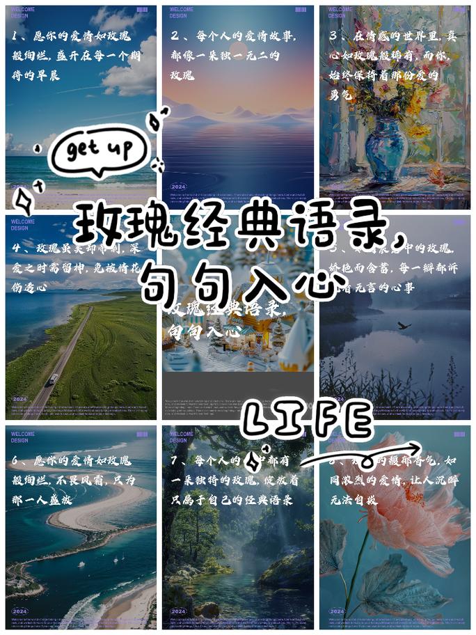 关于「玫瑰」的永不落俗的高级文案短句 第1张 关于「玫瑰」的永不落俗的高级文案短句 第1张