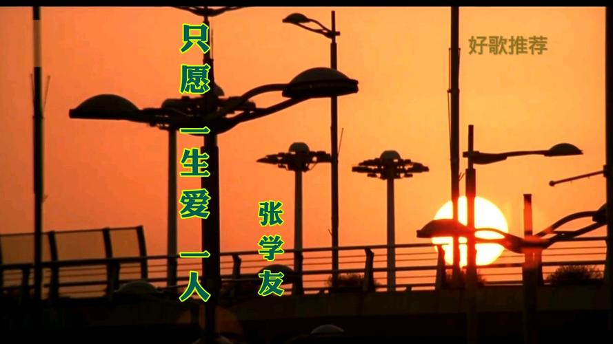 只愿一生爱一人 第1张 只愿一生爱一人 第1张