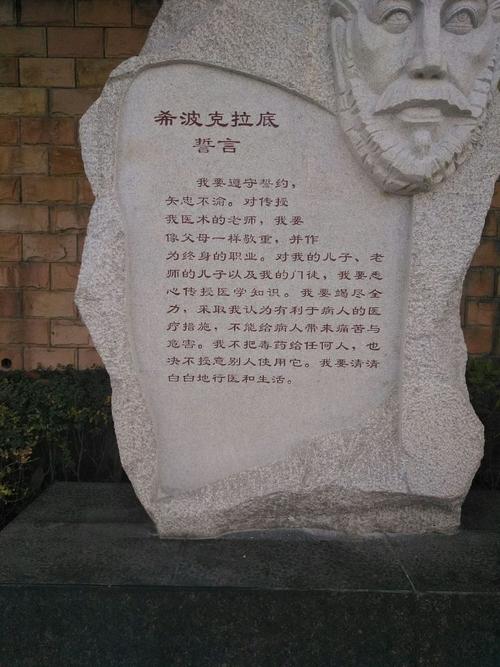 《希波克拉底誓言》 第1张 《希波克拉底誓言》 第1张