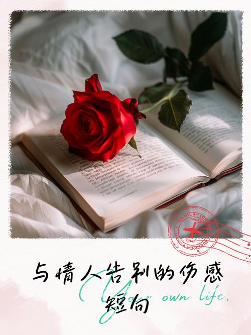 唯美伤感句子:爱情总是想象比现实美丽,相逢如是,告别亦如是 第1张 唯美伤感句子:爱情总是想象比现实美丽,相逢如是,告别亦如是 第1张