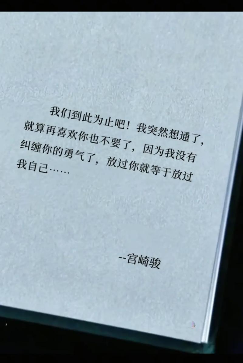 我爱你，是一场不理智的放逐  第1张