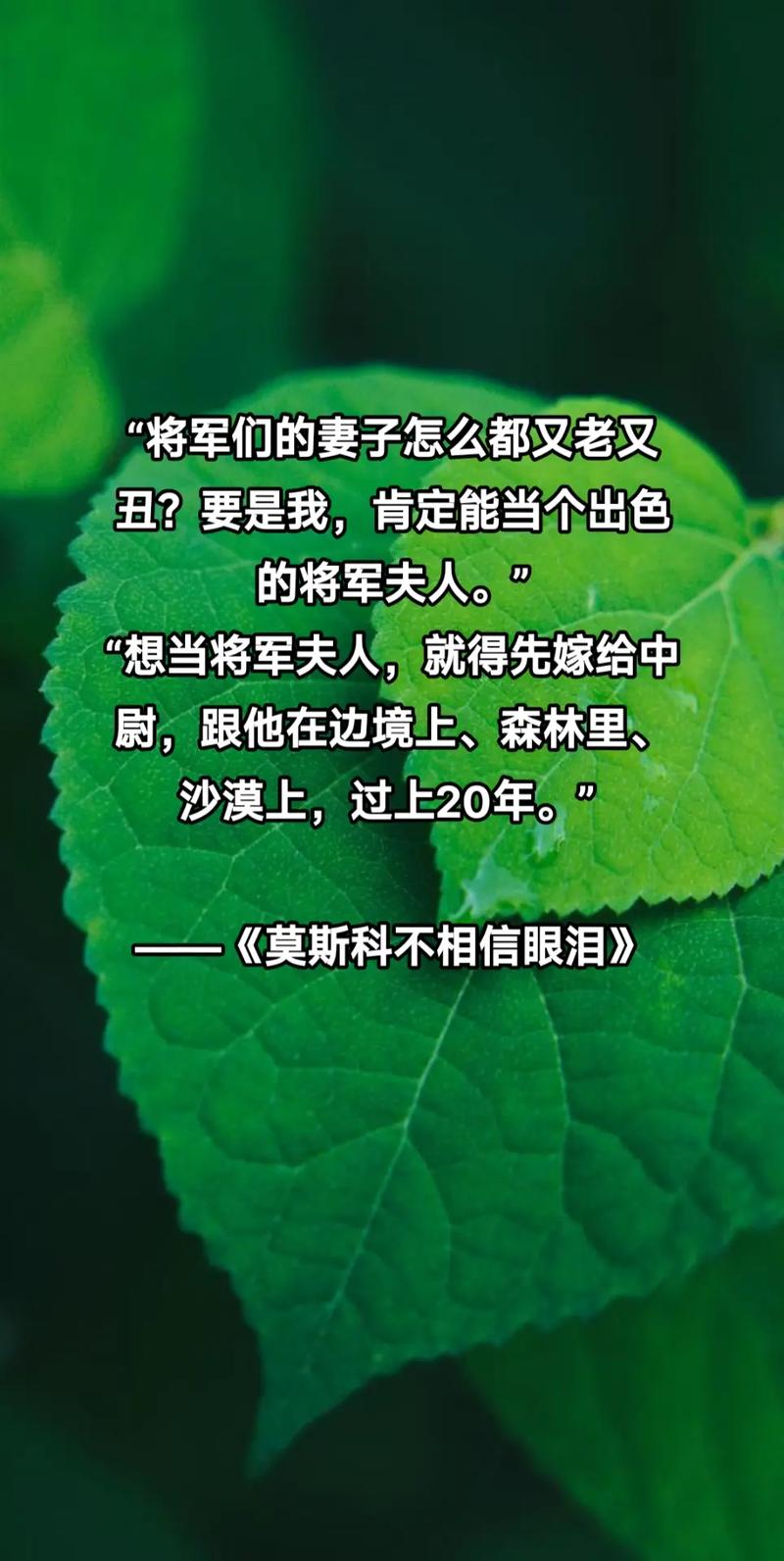 我母亲的名言“莫斯科不相信眼泪” 第1张 我母亲的名言“莫斯科不相信眼泪” 第1张