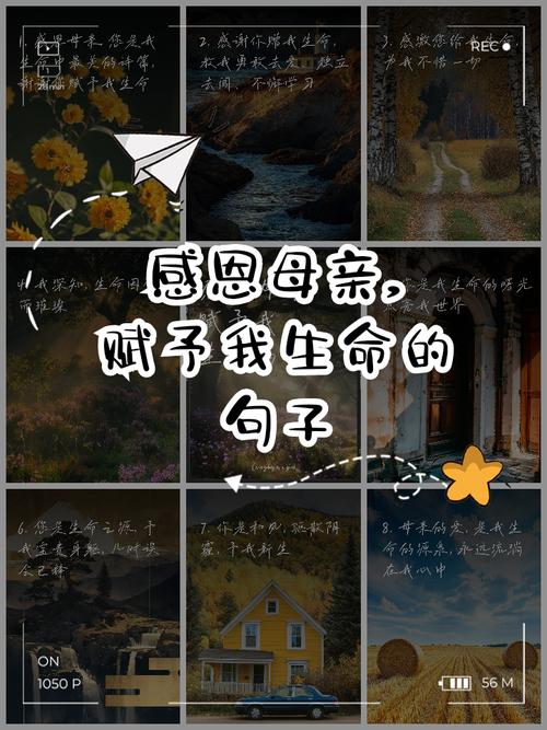 15个暖心短句感恩妈妈,让你的母亲节更温馨 第1张 15个暖心短句感恩妈妈,让你的母亲节更温馨 第1张