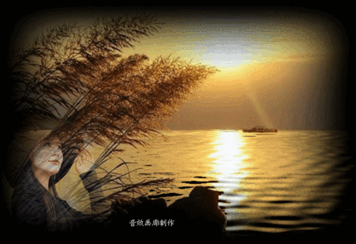 守候风中,风中守候。 第1张 守候风中,风中守候。 第1张