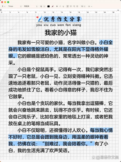 我家小猫咪的趣事 第1张 我家小猫咪的趣事 第1张