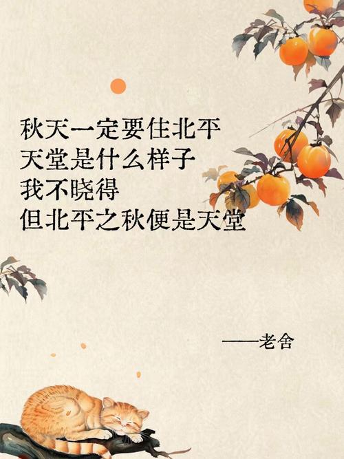 北京“秋雪”的故事  第1张