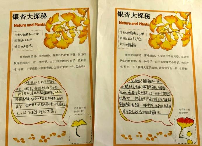 银杏树叶——讲述着秋天的童话  第1张