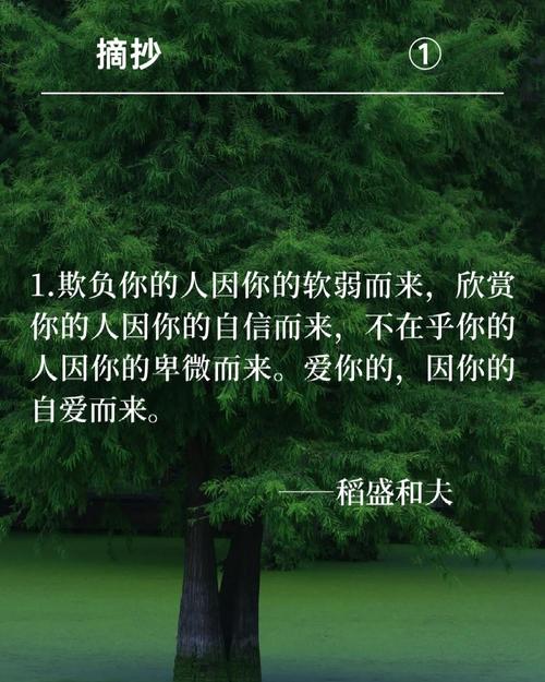 10个人生哲理短句，写到人心里  第1张