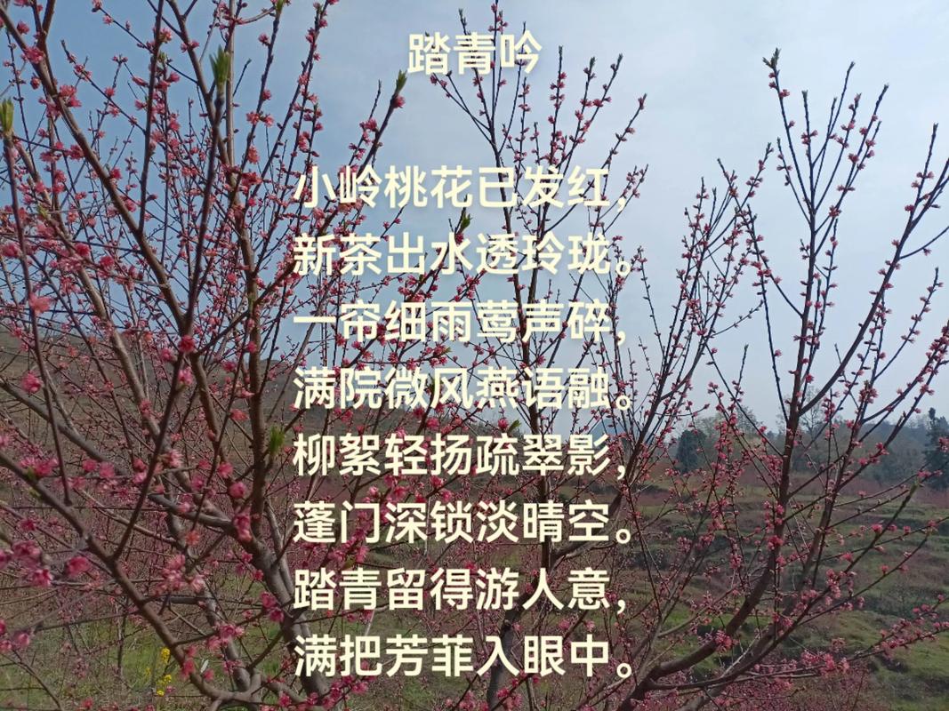 10首最美春风诗词,秀丽江山,田园如画,送你一场春暖花开 第1张 10首最美春风诗词,秀丽江山,田园如画,送你一场春暖花开 第1张