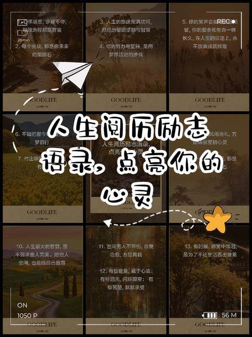 励志语录|助力心灵,点亮人生征途 第1张 励志语录|助力心灵,点亮人生征途 第1张