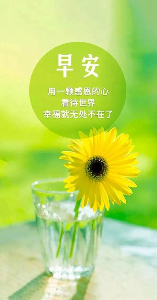 每日早安正能量励志问候语，成功需要付出努力和汗水  第1张