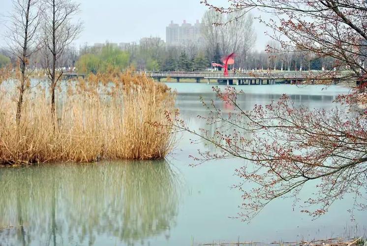 付之江流水，更与何人说 （打四字交通词）  第1张