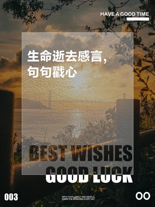 生命的感慨 第1张 生命的感慨 第1张
