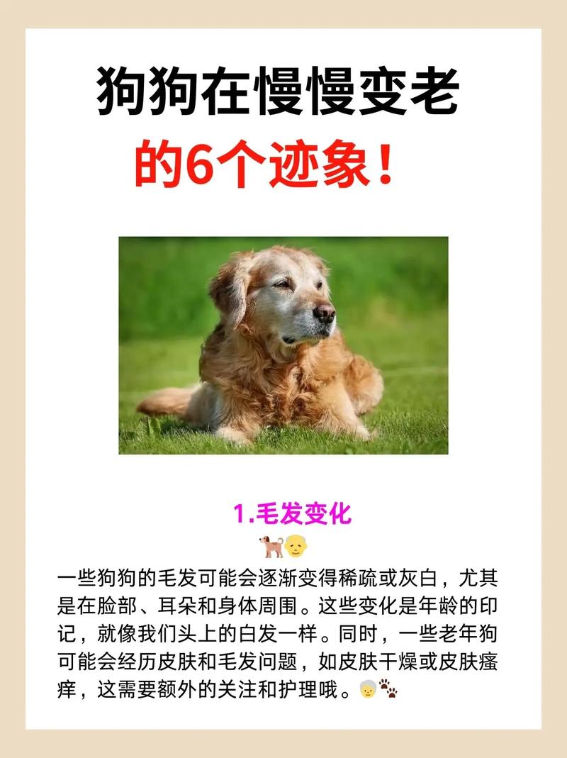 是变老的迹象吧 第1张 是变老的迹象吧 第1张