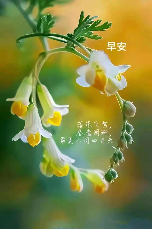 朋友圈早安一句话：满怀喜悦迎接新的一天，让生活充满阳光  第1张