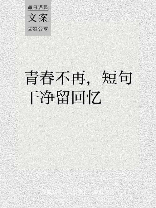 青春已去 情怀已改 第1张 青春已去 情怀已改 第1张
