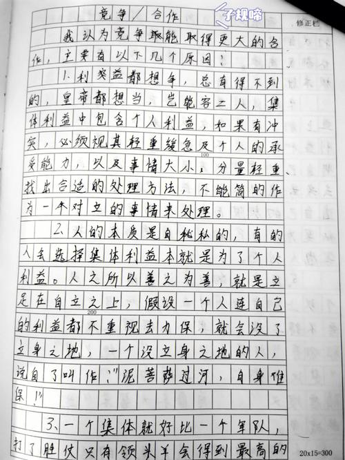 初中生优秀作文：竞争  第1张