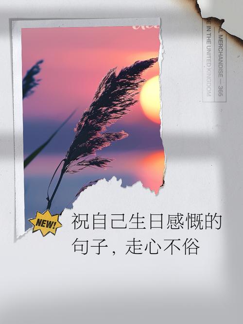 生日感言的简短句子,生日高质量文案短句 第1张 生日感言的简短句子,生日高质量文案短句 第1张
