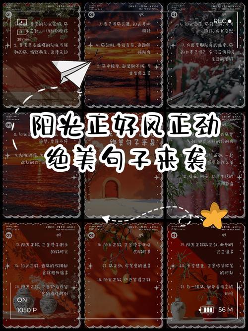 阳光正好的唯美句子70条经典语录大全 第1张 阳光正好的唯美句子70条经典语录大全 第1张