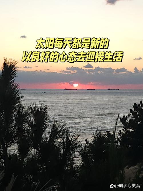 今天的太阳是一个新的希望  第1张