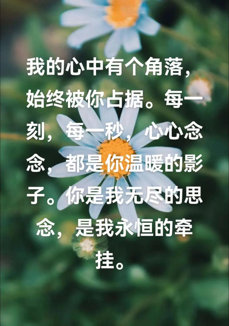 你是我今生永远的牵挂 第1张 你是我今生永远的牵挂 第1张