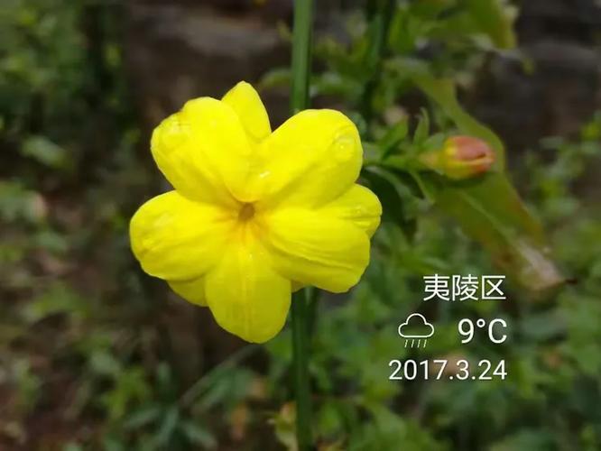 人一逄春便高兴 （打一字）  第1张