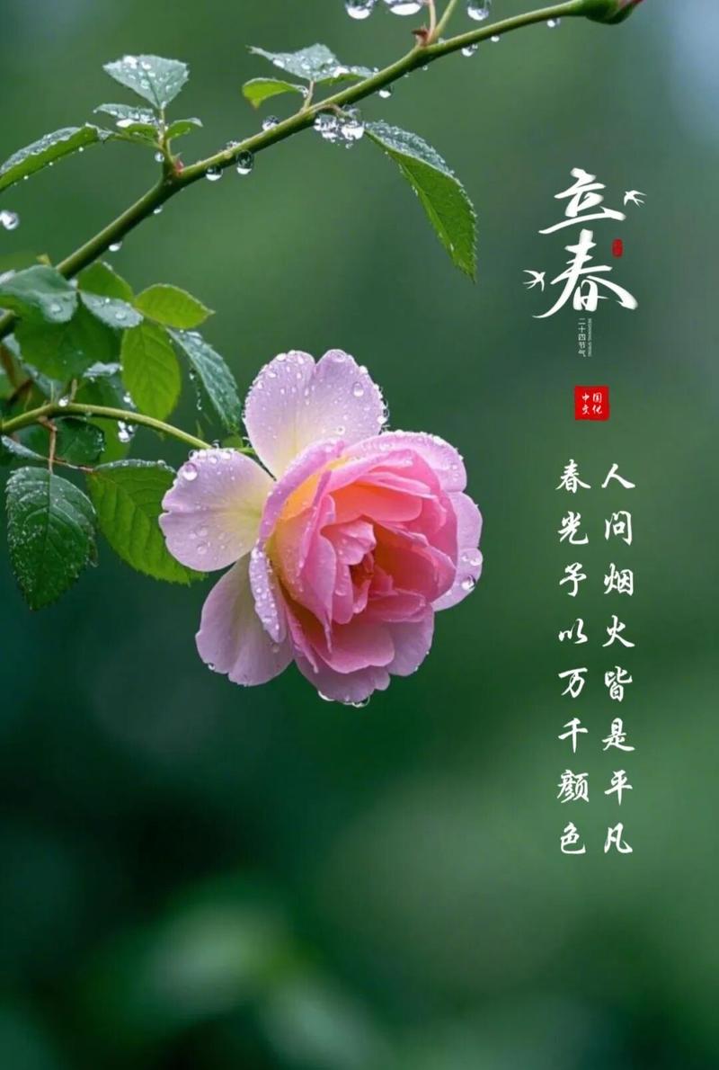 我走过了最冷的严冬,春天还会远么 第1张 我走过了最冷的严冬,春天还会远么 第1张
