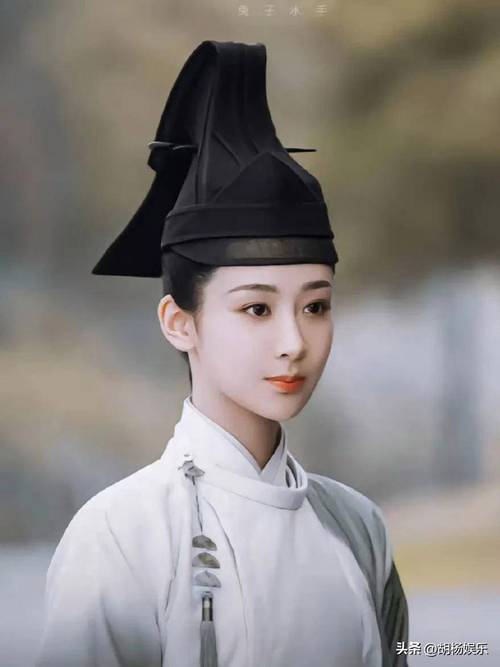《簪中录》:中心藏之,何日忘之。万木之长,何妨微瑕 第1张 《簪中录》:中心藏之,何日忘之。万木之长,何妨微瑕 第1张