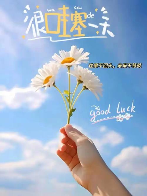 除了Good Luck可以表示"好运",你还知道别的表达法吗? 第1张 除了Good Luck可以表示"好运",你还知道别的表达法吗? 第1张