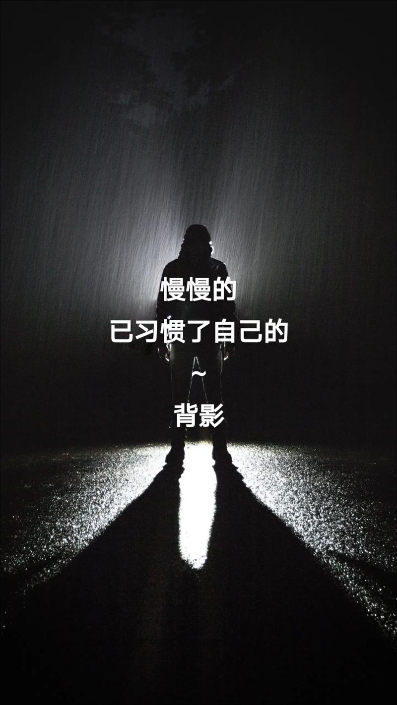 「每日一曲心灵随笔」最是悲伤,那一袭孤独的背影 第1张 「每日一曲心灵随笔」最是悲伤,那一袭孤独的背影 第1张