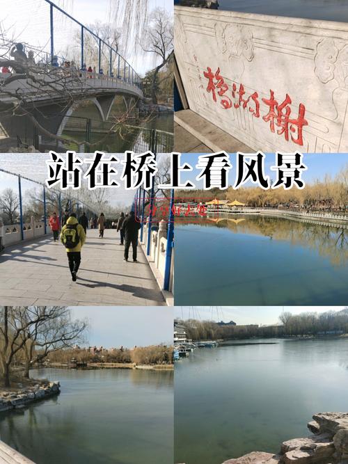 我在桥上看风景,看风景的在桥上看你,人间有桥,愿生命有你 第1张 我在桥上看风景,看风景的在桥上看你,人间有桥,愿生命有你 第1张