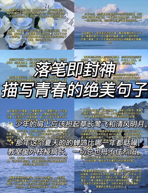 惊鸿一瞥的「青春主题」经典金句,精彩又实用 第1张 惊鸿一瞥的「青春主题」经典金句,精彩又实用 第1张