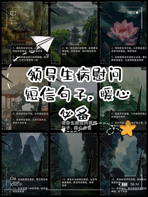 领导住院发个问候短信 第1张 领导住院发个问候短信 第1张