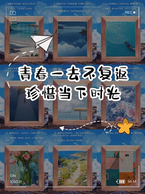 时光不老，青春永不散场  第1张