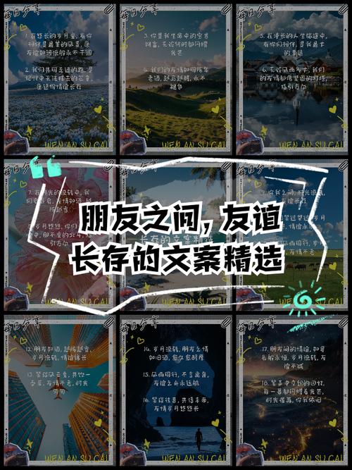 关于友谊的文案|很高兴认识你,这句话想跟你重复一万遍 第1张 关于友谊的文案|很高兴认识你,这句话想跟你重复一万遍 第1张
