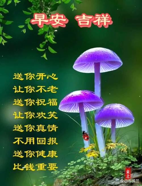 6月13日 愿我身边的亲人和朋友平安一生,健康一世,快乐一辈子 第1张 6月13日 愿我身边的亲人和朋友平安一生,健康一世,快乐一辈子 第1张