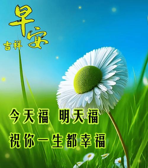 传递正能量的早安励志语句,很美的早上好问候祝福图片带字 第1张 传递正能量的早安励志语句,很美的早上好问候祝福图片带字 第1张