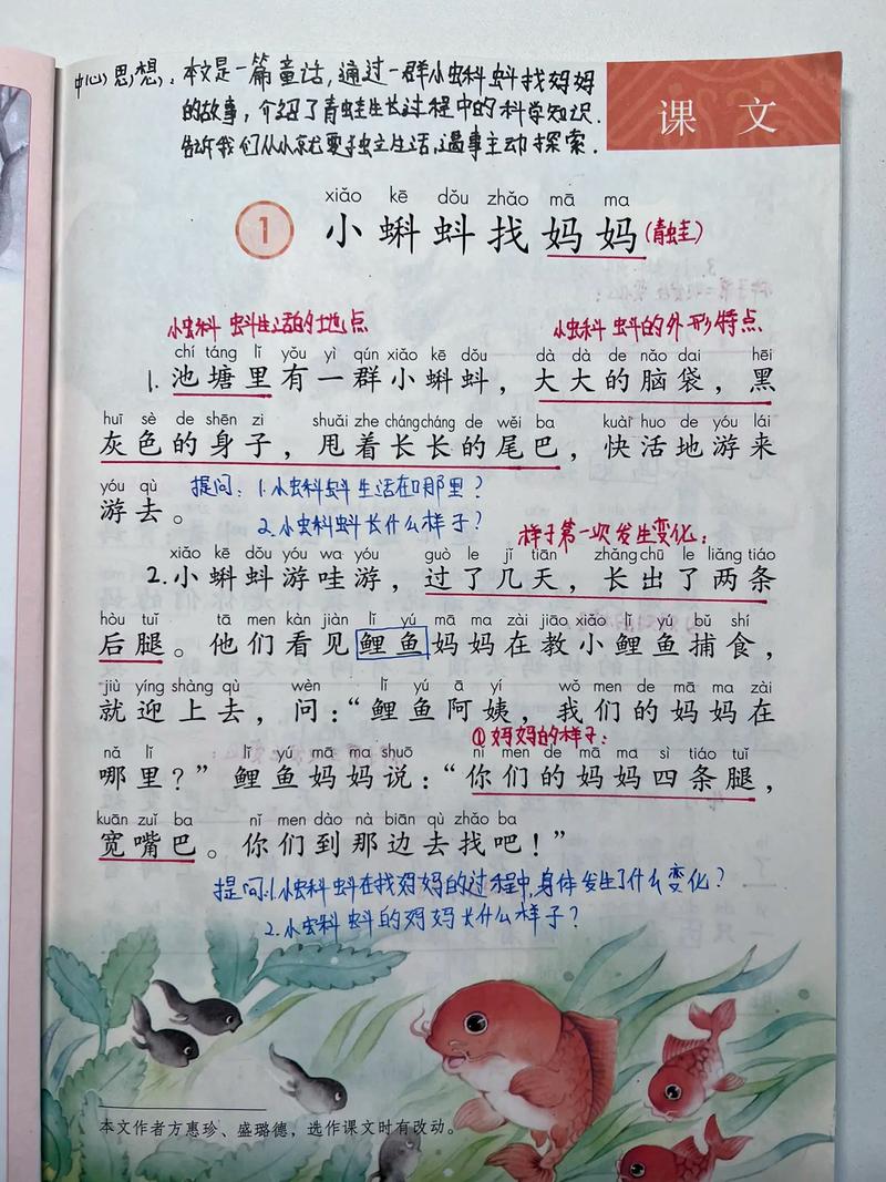 二年级开学第一课《小蝌蚪找妈妈》，记录孩子学习  第1张