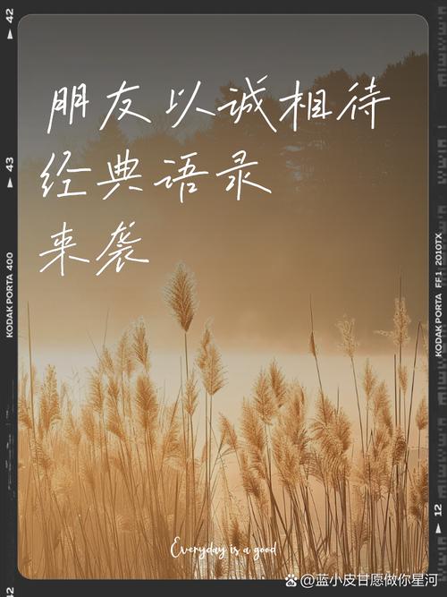 与人相处，请真心相待！（句句入心）  第1张