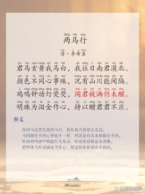 10句描写马的经典古诗!健儿须快马,快马须健儿! 第1张 10句描写马的经典古诗!健儿须快马,快马须健儿! 第1张