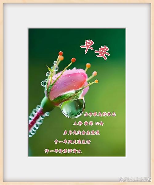 六首最美早安诗词：每一个清晨，都值得为之醒来  第1张