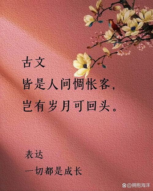 回忆的伤感句子古风语录-图说精灵 第1张 回忆的伤感句子古风语录-图说精灵 第1张