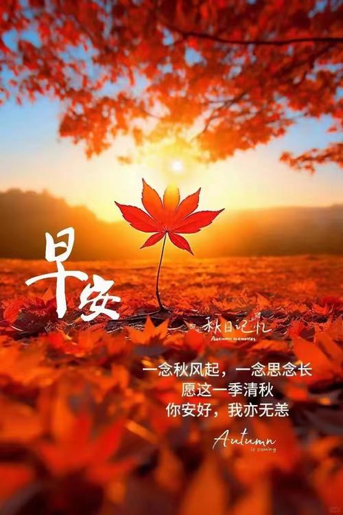 秋天你好,金秋安康,十月深秋暖心祝福语,秋天清晨微信问候语 第1张 秋天你好,金秋安康,十月深秋暖心祝福语,秋天清晨微信问候语 第1张