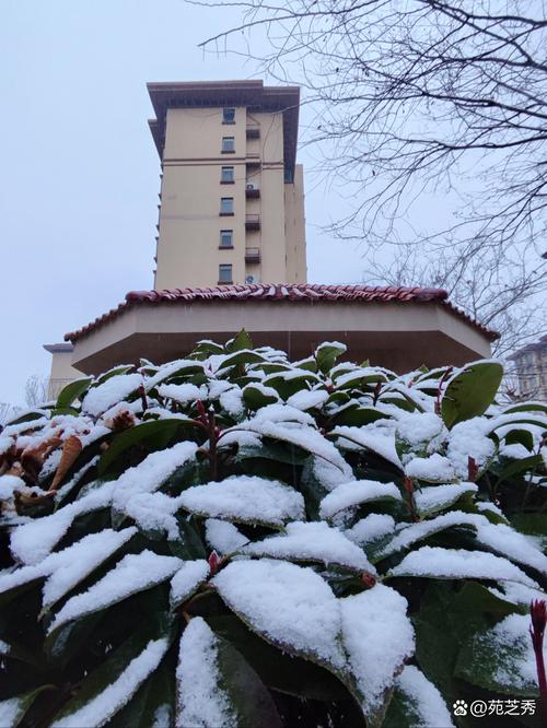 三月的雨,三月的雪 第1张 三月的雨,三月的雪 第1张