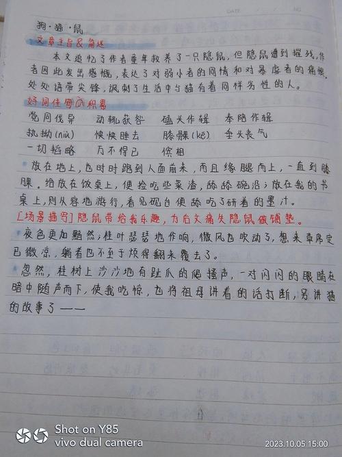 《朝花夕拾》链接阅读之《过客》好句摘抄及赏析 第1张 《朝花夕拾》链接阅读之《过客》好句摘抄及赏析 第1张