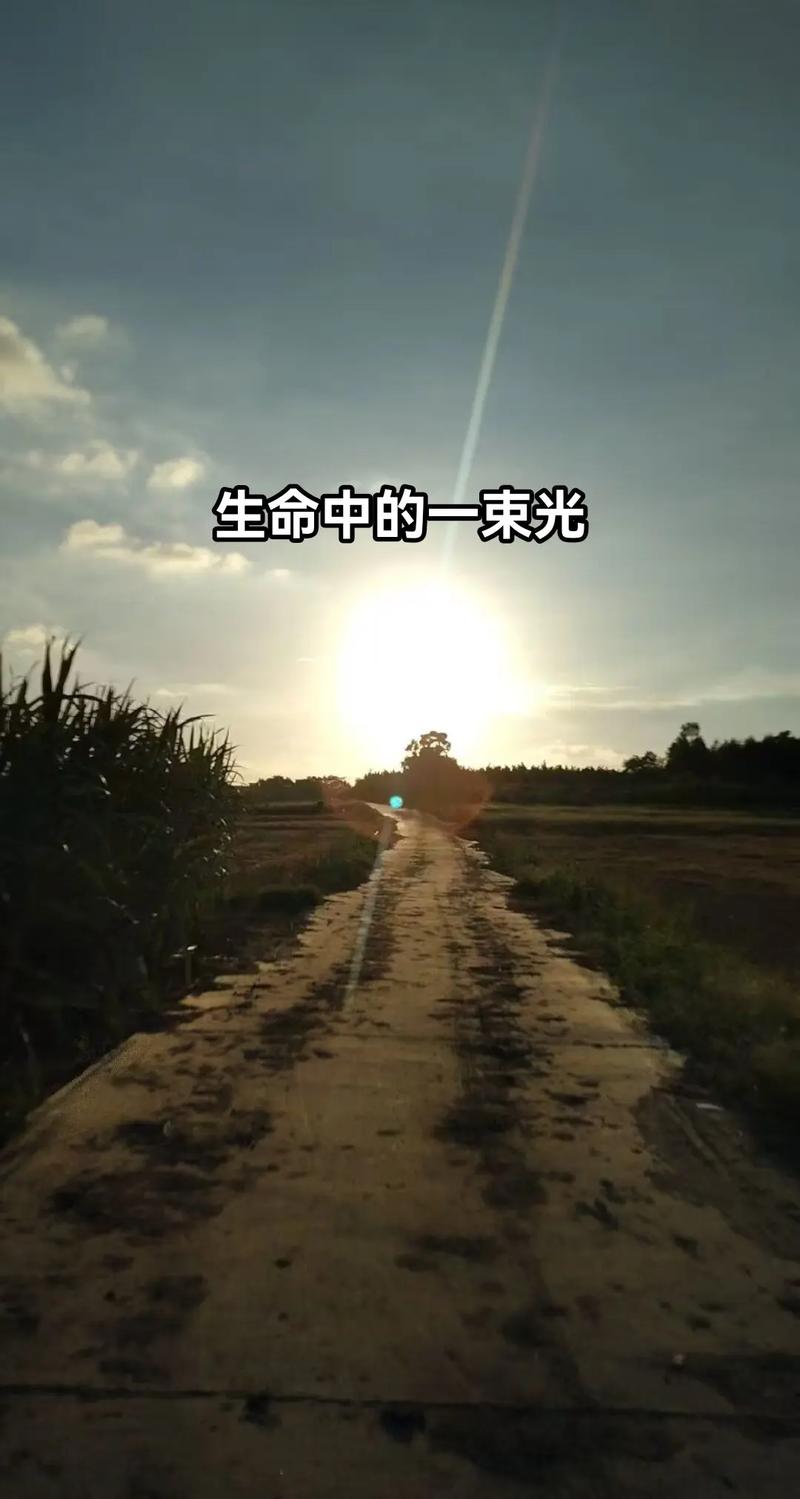 1、愿时光慢慢行,做你的双脚,陪你到老 骄阳如火,带你走荫凉,护你落日余辉 第1张 1、愿时光慢慢行,做你的双脚,陪你到老 骄阳如火,带你走荫凉,护你落日余辉 第1张