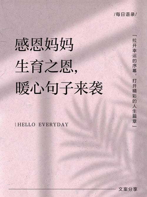 感恩母爱最朴实的句子60条经典语录大全 第1张 感恩母爱最朴实的句子60条经典语录大全 第1张