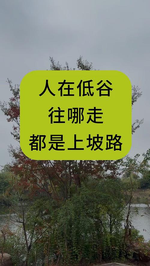 好走的都是下坡路  第1张