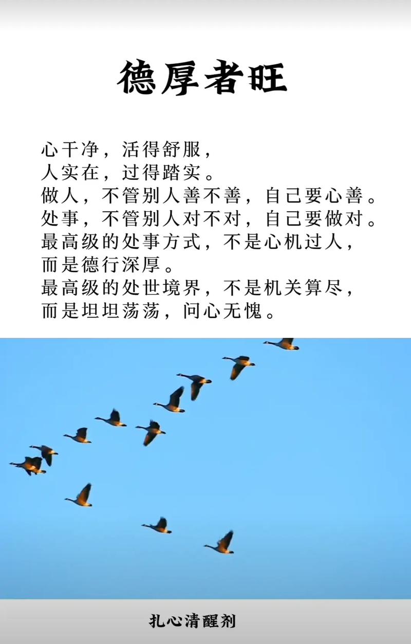 感悟：静心做事、细心为人、真心付出  第1张